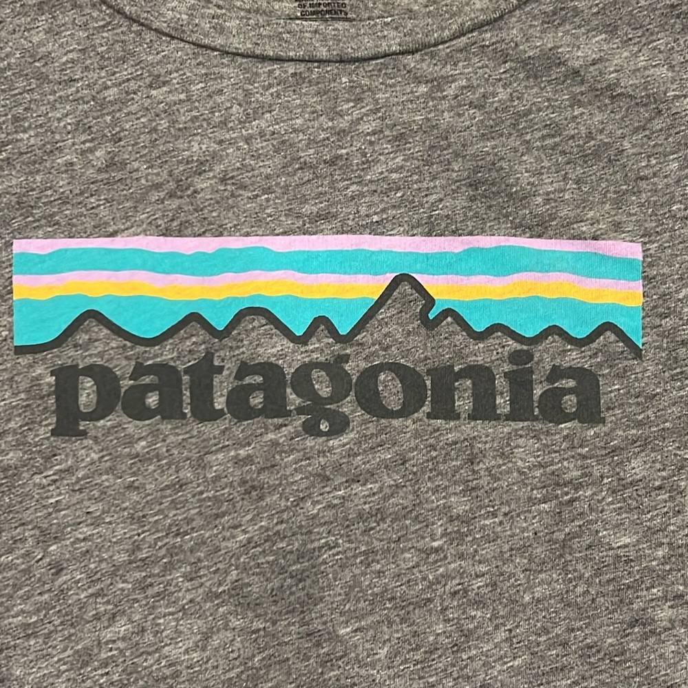 Patagonia T-shirt
